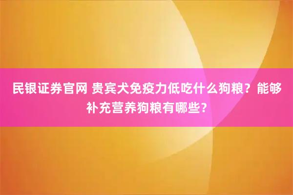 民银证券官网 贵宾犬免疫力低吃什么狗粮?能够补充营养狗粮有哪些?